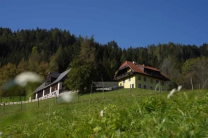 Bauernhof auf Alm