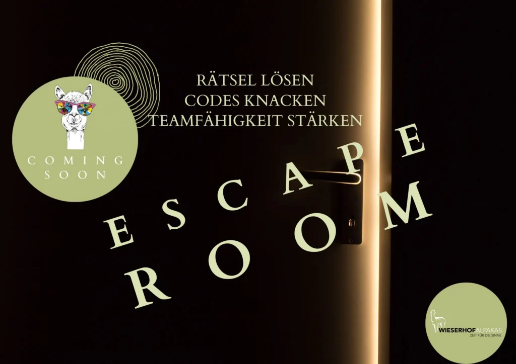 Escape Room Wieserhof